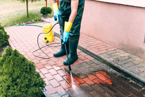 Best Roof Washing  in Veazie, ME